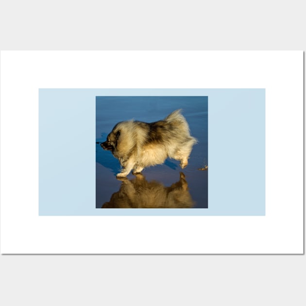 Happy Keeshond Wall Art by Violaman